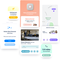 Screenshot of Professional Sensor Monitoring