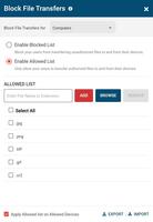 Screenshot of AccessPatrol's Block File Transfers window.  File transfers can be blocked based on extensions or specific file names.