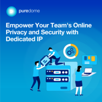 Screenshot of Empower Your Team's Online Privacy with Dedicated IP