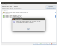 Screenshot of Scale fuzz testing with automation