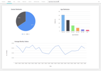 Screenshot of Campaign Analytics