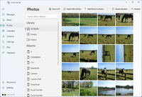 Screenshot of browsing Android photos and video on PC. Intelligently back them up.