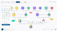 Screenshot of the shape library for Cultural, Medical, and Therapy genogram.