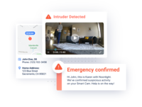 Screenshot of Professional Video Monitoring