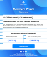 Screenshot of Personalization
Emails are personalized by inserting dynamic text fields whether it be subscribers information, company information or custom values.