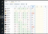 Screenshot of the automated timesheet