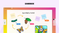 Screenshot of an example of Padlet's sandboxes for whiteboarding, lessons, and activities
