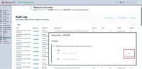 Screenshot of Audit log with record open showing copy of previous value