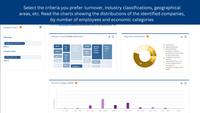 Screenshot of some of the available criteria: turnover, industry classifications, geographical areas, etc. The charts show the distributions of the identified companies, by number of employees and economic categories