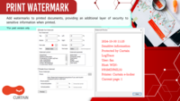 Screenshot of Print Watermark
