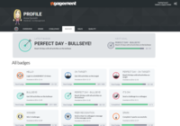 Screenshot of Summary view of a typical agent's profile with accomplishments and other data in tab view
