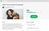 Screenshot of Peer-to-peer fundraising page