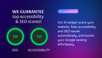 Screenshot of how the widget scans a website, fixes accessibility and SEO issues automatically.