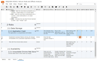 Screenshot of project risk management