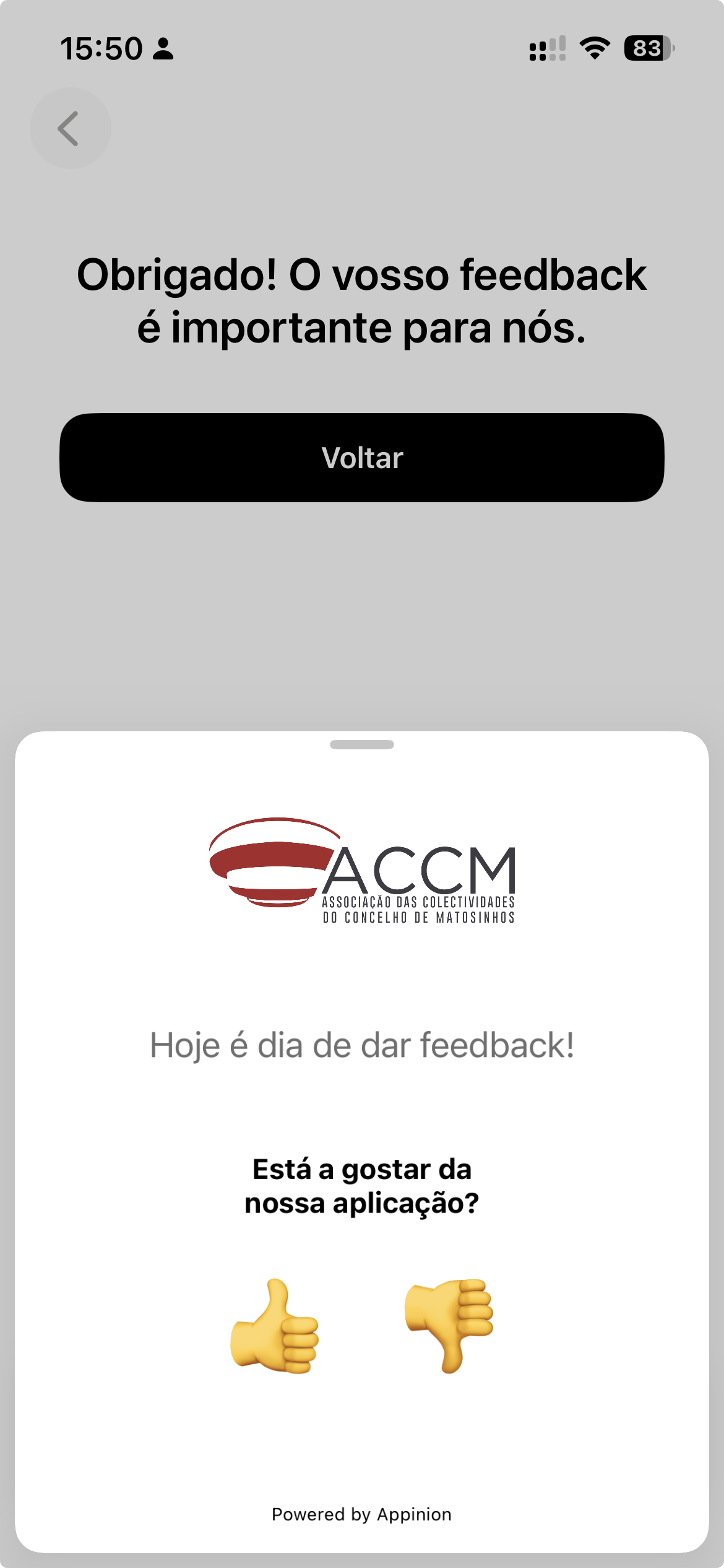 Screenshot of feedback capture, before it reaches the app store.