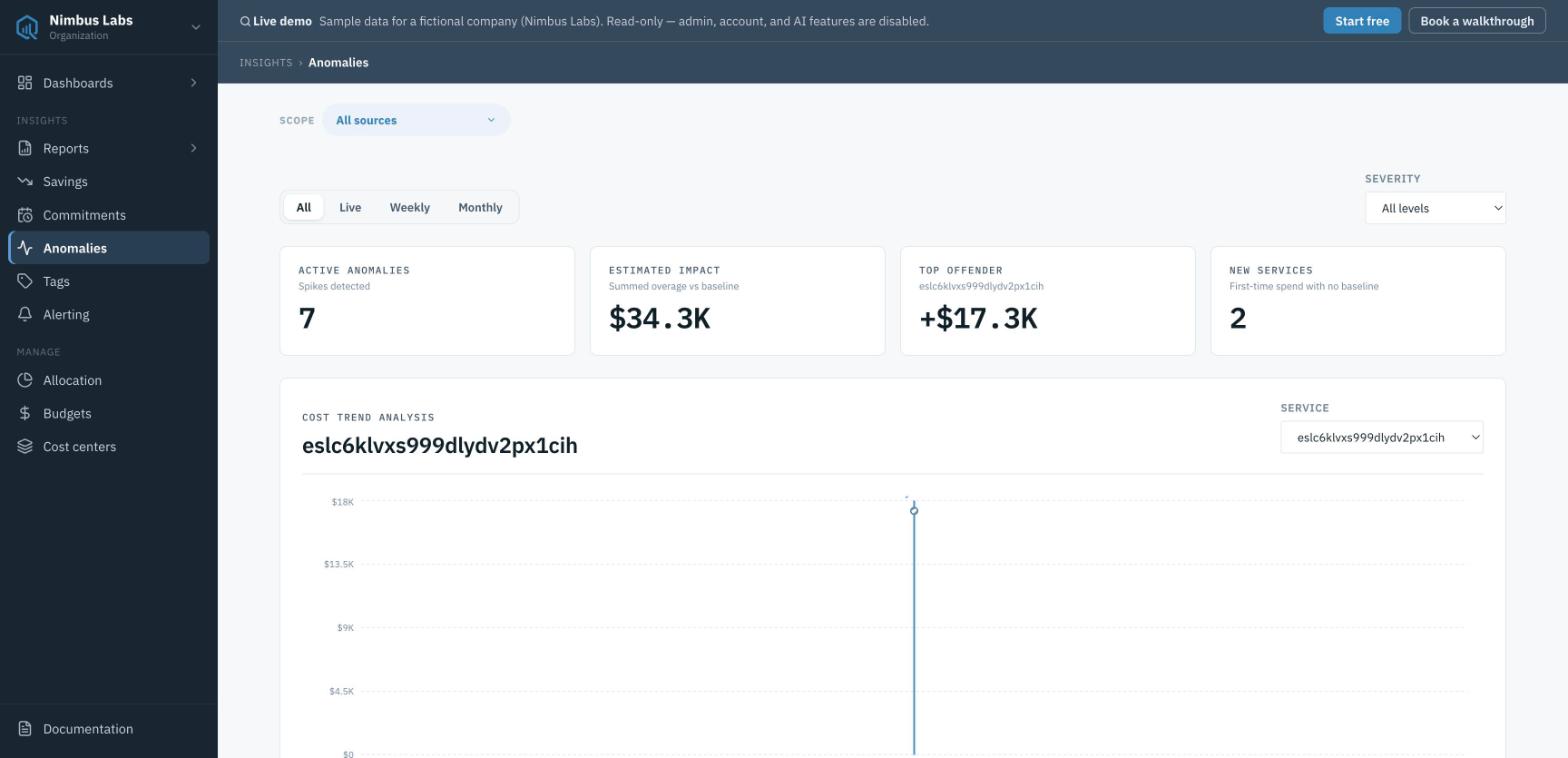 Screenshot of Anomaly detection, budgets and alert delivery, with estimated impact.