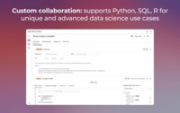 Screenshot of Custom collaboration: supports Python, SQL, R for unique and advanced data science use