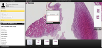 Screenshot of Digital Pathology, Vendor-neutral Dicomizer