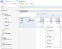 Screenshot of OLAP Grid analysis