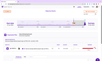 Screenshot of View objective