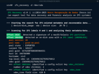 Screenshot of The proprietary Hosco tool called ZFS Recovery examines metadata stored on each disk, such as pool version and state, RAID-Z type, dataset presence, and other important information to support accurate and reliable reconstruction of stripe, mirror, or RAID-Z pools in damaged or degraded scenarios. This in-depth inspection enables restoring complex ZFS pools experiencing consistency or availability issues related to data loss.