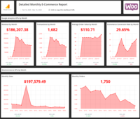 Screenshot of Detailed Monthly E-Commerce Report | 25+ more KPIs inside the template!