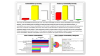 Screenshot of Vulnerabilities by Severity Overview:
This report visualizes discovered vulnerabilities grouped by severity level, such as critical, severe, and moderate. It helps users quickly understand their overall risk posture and prioritize remediation efforts based on urgency.