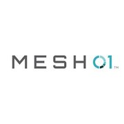 MESH01 Logo